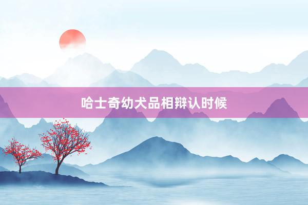 哈士奇幼犬品相辩认时候